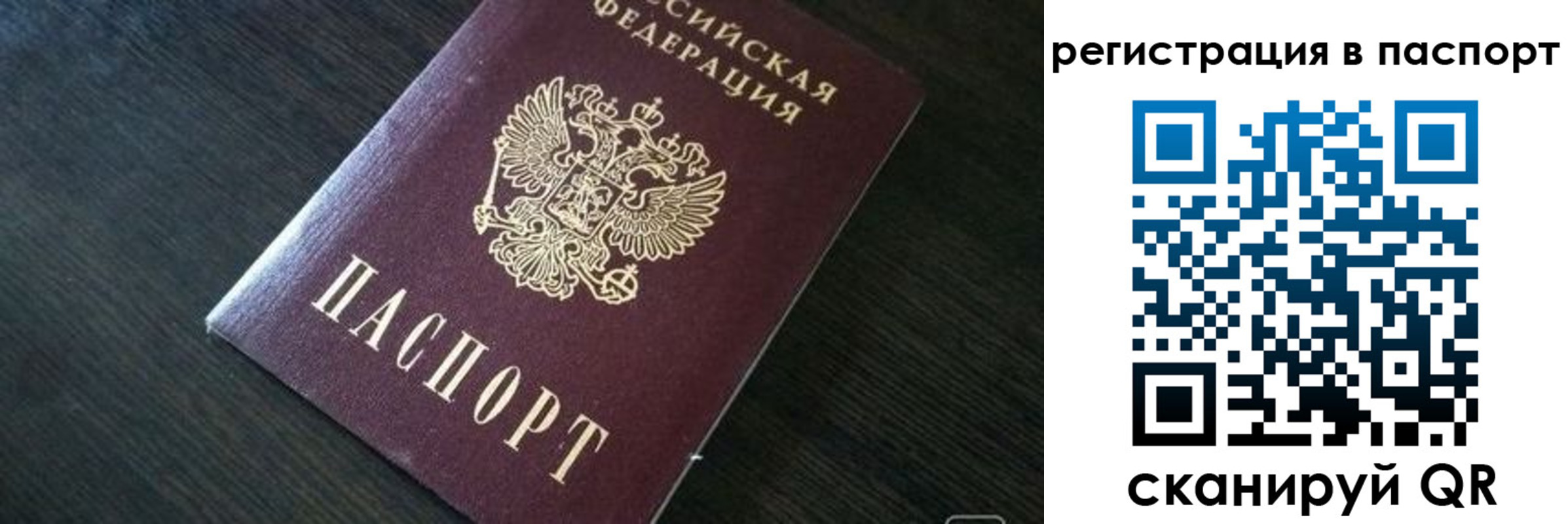 прописка в квартире в Фрязино